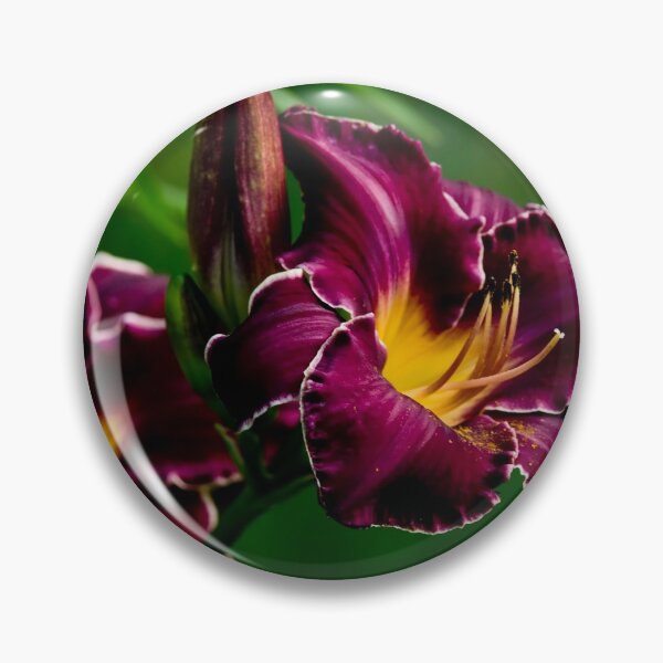 Item preview, "Thundering Ovation" Daylily designed and sold by Michael Cummings.