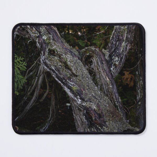 Item preview, Mossy Tree designed and sold by elliottartistry.