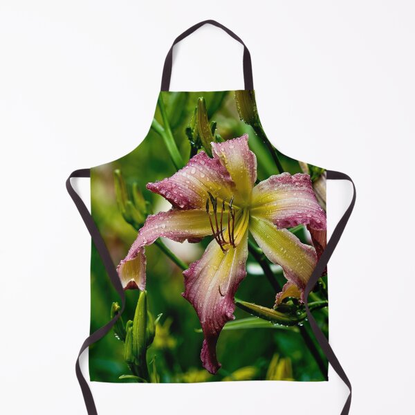 Item preview, "Northwind Dancer" Daylily designed and sold by Michael Cummings.