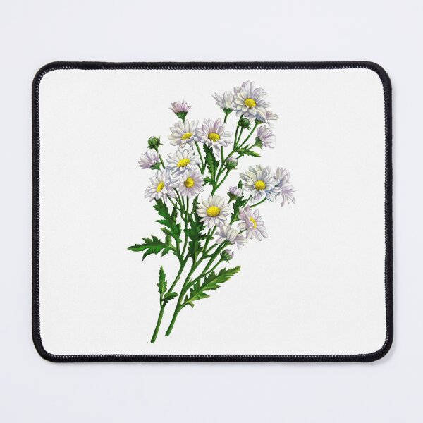 Item preview, chamomile designed and sold by Niti-Niti.