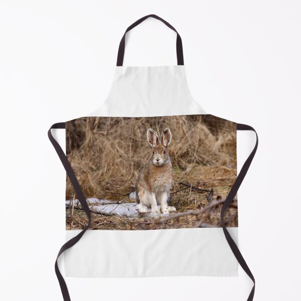 Item preview, Snowshoe Hare designed and sold by James Cumming.