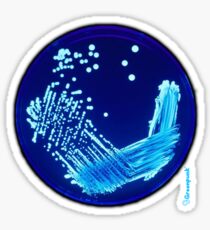 Petri Sticker