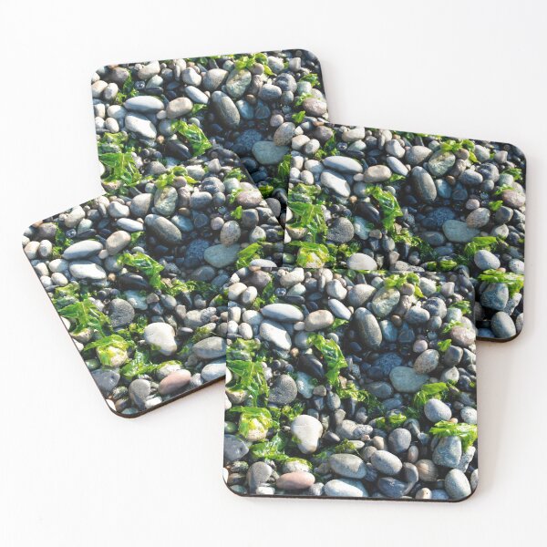 Item preview, Seaweed and Rocks, Lopez Island designed and sold by Deborah Singer.