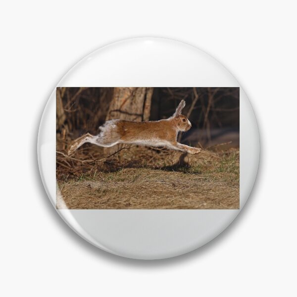 Item preview, Run Rabbit Run! - Snowshoe Hare designed and sold by James Cumming.