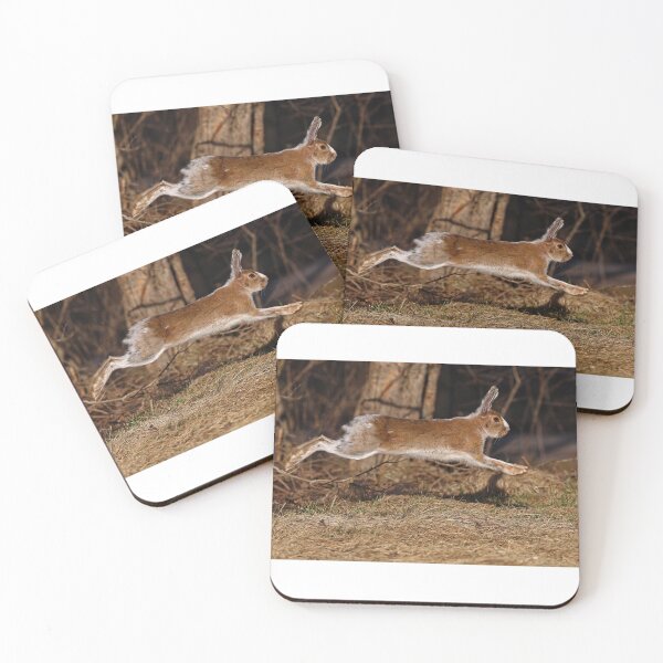 Item preview, Run Rabbit Run! - Snowshoe Hare designed and sold by James Cumming.