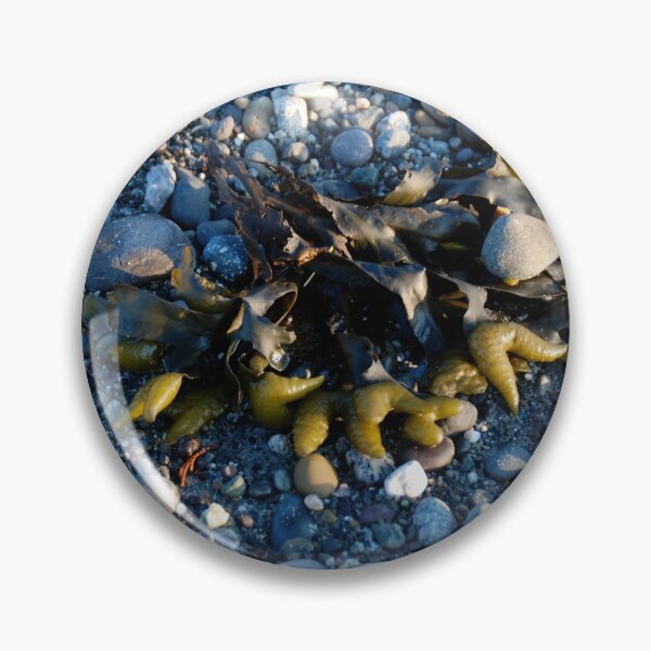 Item preview, Seaweed, San Juan Islands designed and sold by Deborah Singer.