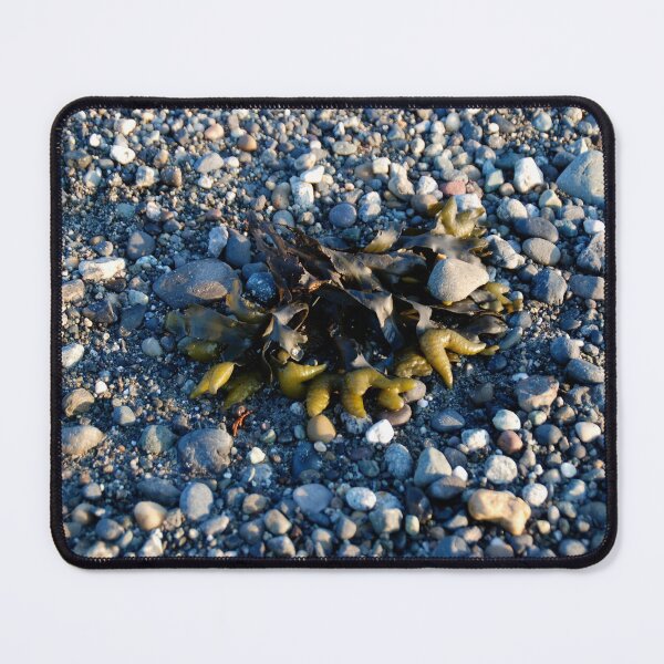 Item preview, Seaweed, San Juan Islands designed and sold by Deborah Singer.