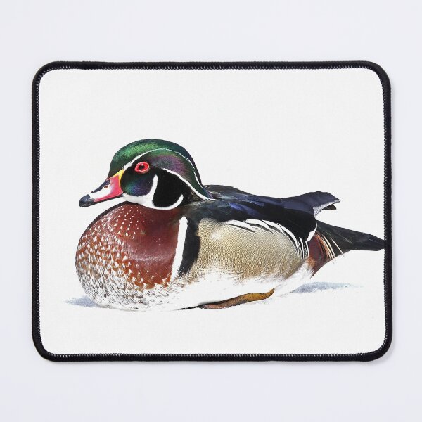 Item preview, Wood Duck on ice designed and sold by James Cumming.