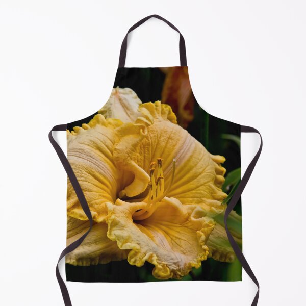 Item preview, "Chasing Windmills" Daylily designed and sold by Michael Cummings.