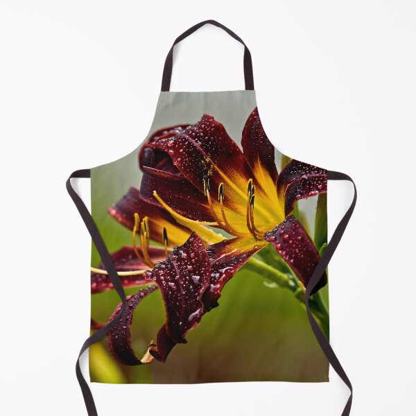 Item preview, "Black Plush" Daylily designed and sold by Michael Cummings.