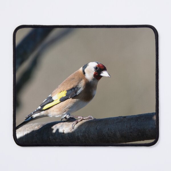 Item preview, Goldfinch (Carduelis carduelis) designed and sold by Chris Monks.