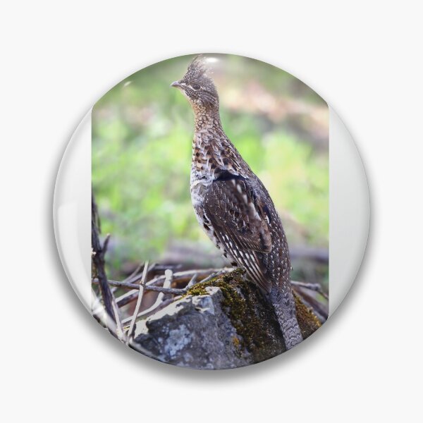 Item preview, Ruffed Grouse designed and sold by James Cumming.