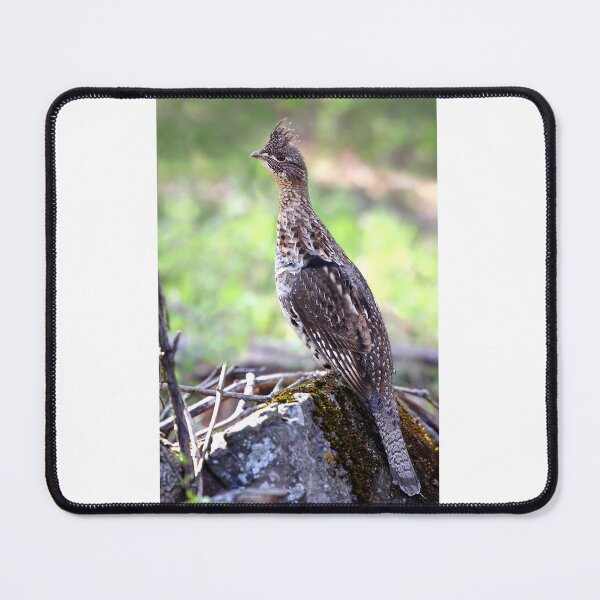 Item preview, Ruffed Grouse designed and sold by James Cumming.