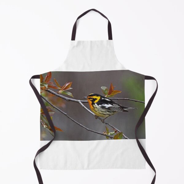 Item preview, Blackburnian Warbler designed and sold by James Cumming.