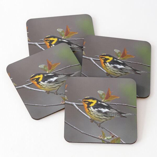 Item preview, Blackburnian Warbler designed and sold by James Cumming.