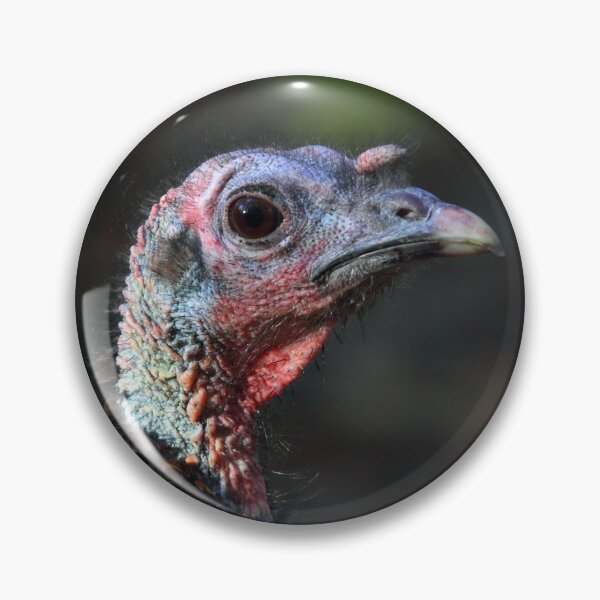 Item preview, Wild Turkey Closeup designed and sold by James Cumming.