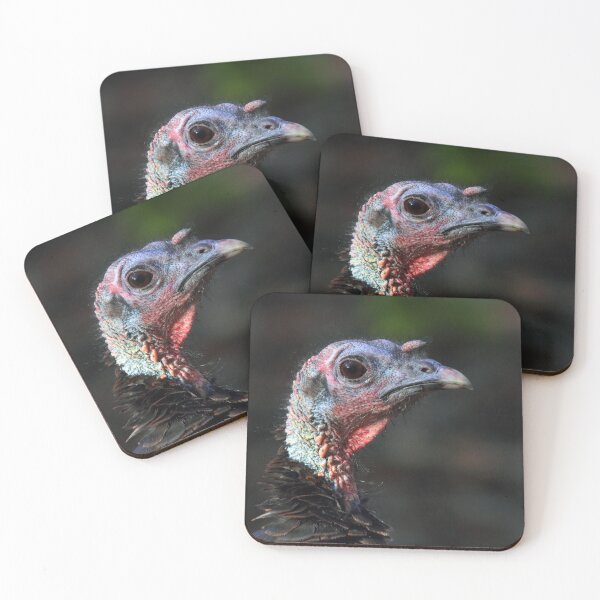 Item preview, Wild Turkey Closeup designed and sold by James Cumming.