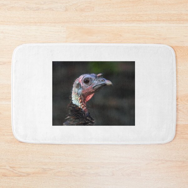 Item preview, Wild Turkey Closeup designed and sold by James Cumming.