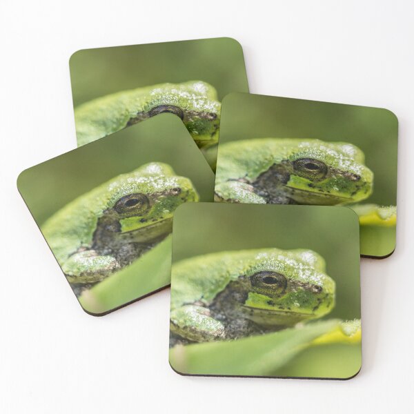 Item preview, Gray Tree Frog designed and sold by Michael Cummings.