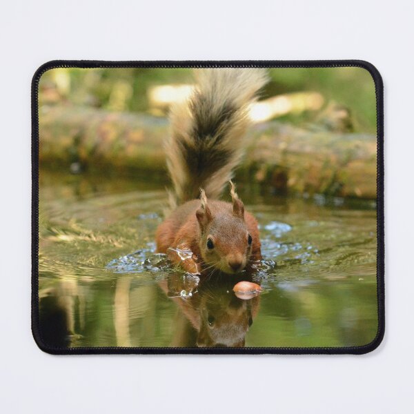 Item preview, Splashy Squirrel designed and sold by Chris Monks.