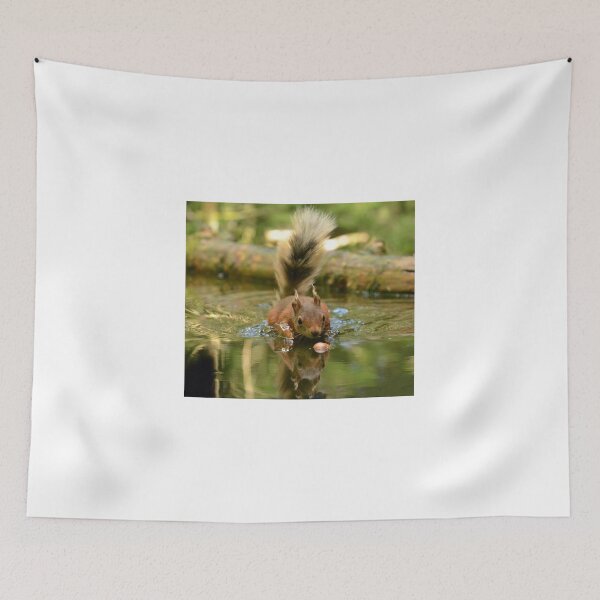 Item preview, Splashy Squirrel designed and sold by Chris Monks.