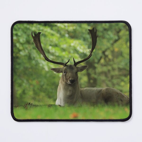 Item preview, Taking a rest designed and sold by Lyndonsnature.