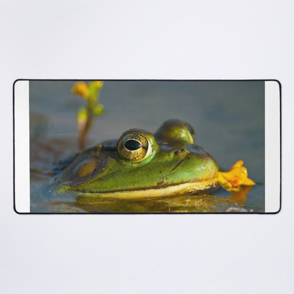 Item preview, Bull Frog designed and sold by Michael Cummings.