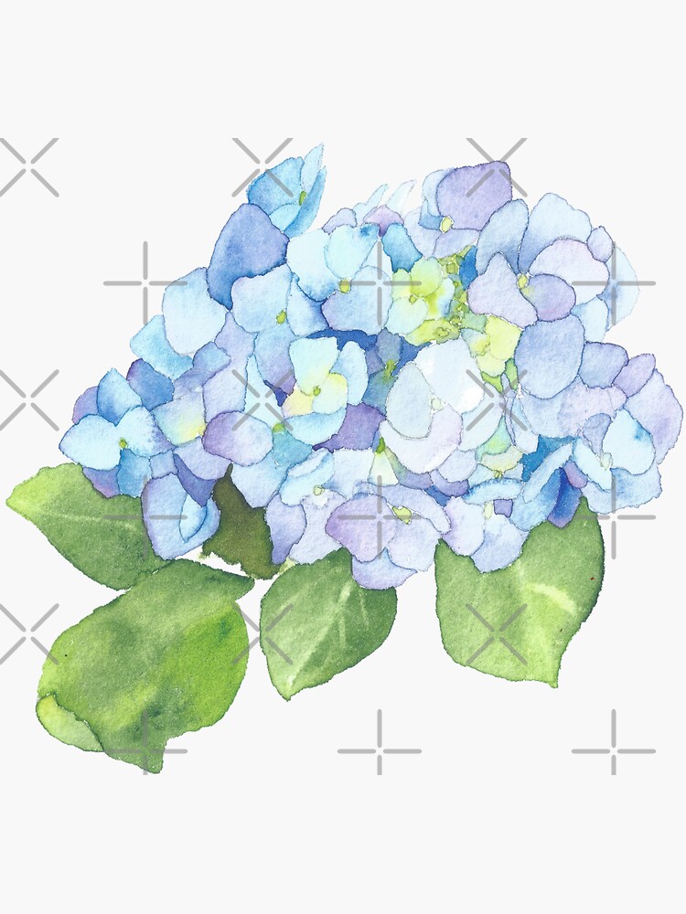 Thumbnail 3 of 3, Sticker, Blue Hydrangea, original watercolor designed and sold by SharonRoseR.