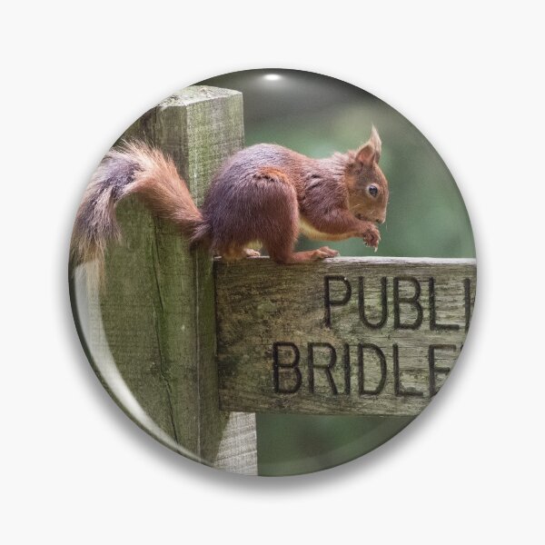 Item preview, Red Squirrel on a Signpost designed and sold by Chris Monks.