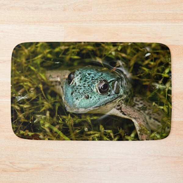 Item preview, Green Frog (blue variant) designed and sold by Michael Cummings.
