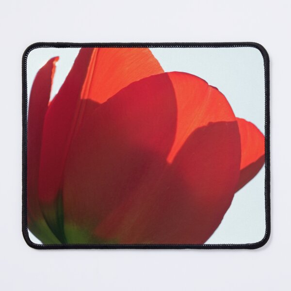 Item preview, Backlit Tulip designed and sold by Chris Monks.