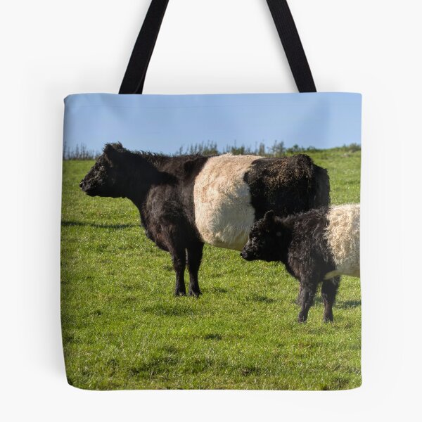 Item preview, Belted Galloway Cattle designed and sold by derekbeattie.