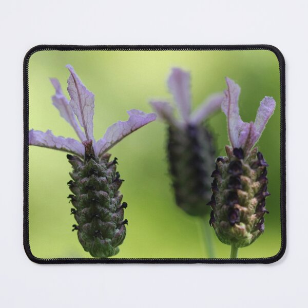 Item preview, The Lavender Girls designed and sold by cuprum.