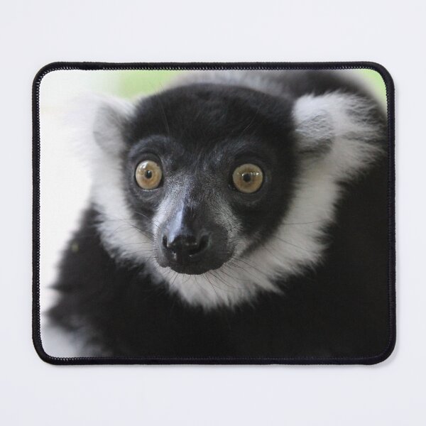Item preview, Disbelieve designed and sold by cuprum.