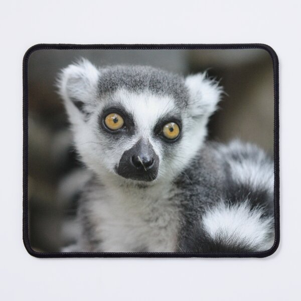 Item preview, The Stare designed and sold by cuprum.
