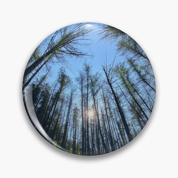 Item preview, Blaencuffyn forest designed and sold by Dan Bradbury.