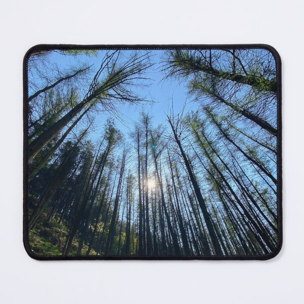 Item preview, Blaencuffyn forest designed and sold by Dan Bradbury.