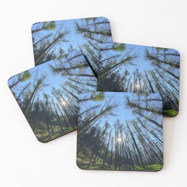 Item preview, Blaencuffyn forest designed and sold by Dan Bradbury.