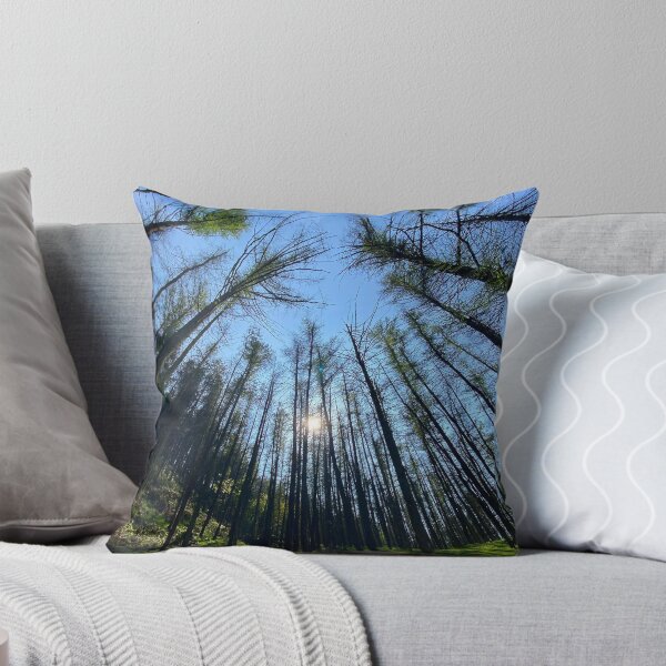 Item preview, Blaencuffyn forest designed and sold by Dan Bradbury.