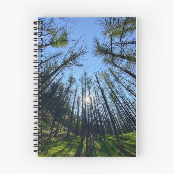 Item preview, Blaencuffyn forest designed and sold by Dan Bradbury.