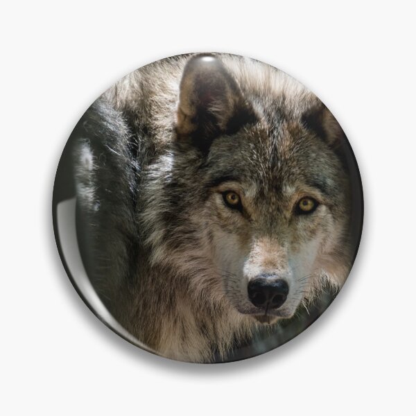 Item preview, Wolf In Forest designed and sold by Michael Cummings.