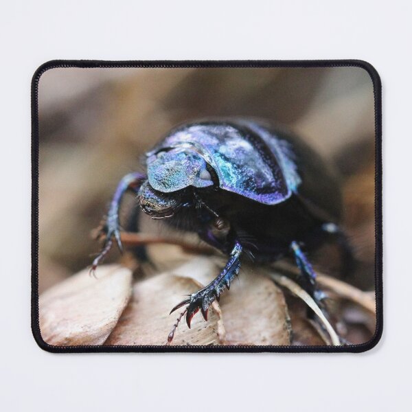 Item preview, Bugzilla! designed and sold by cuprum.