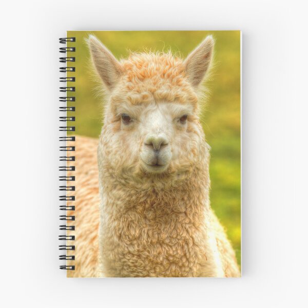 Item preview, Alpaca Portrait Cute Animal designed and sold by acceleratorhams.