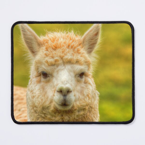 Item preview, Alpaca Portrait Cute Animal designed and sold by acceleratorhams.