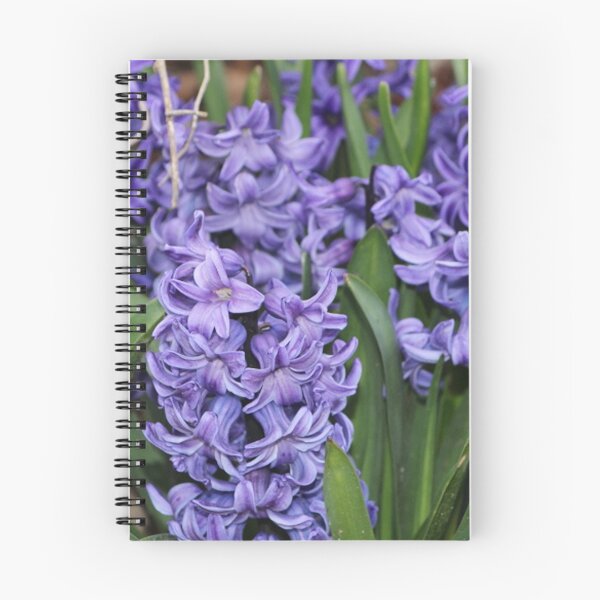 Item preview, Group of Purple Hyacinths in the Spring designed and sold by JariHawk.