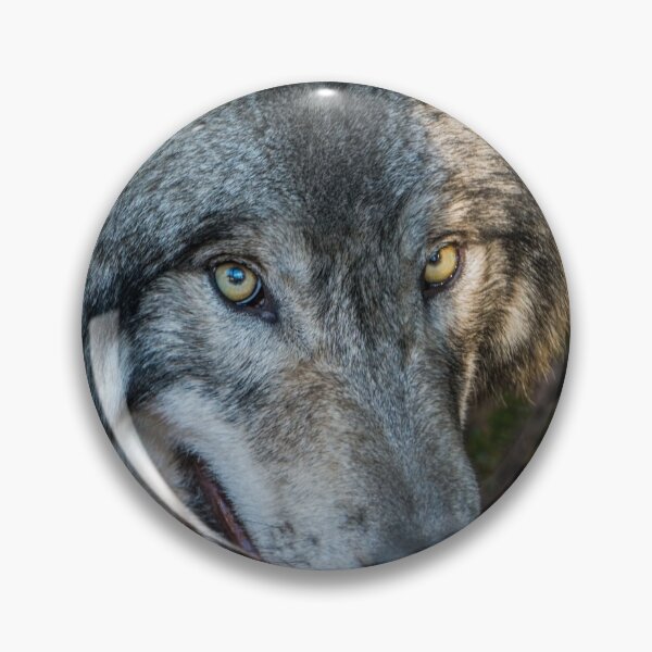 Item preview, Timber Wolf - Closeup designed and sold by Michael Cummings.