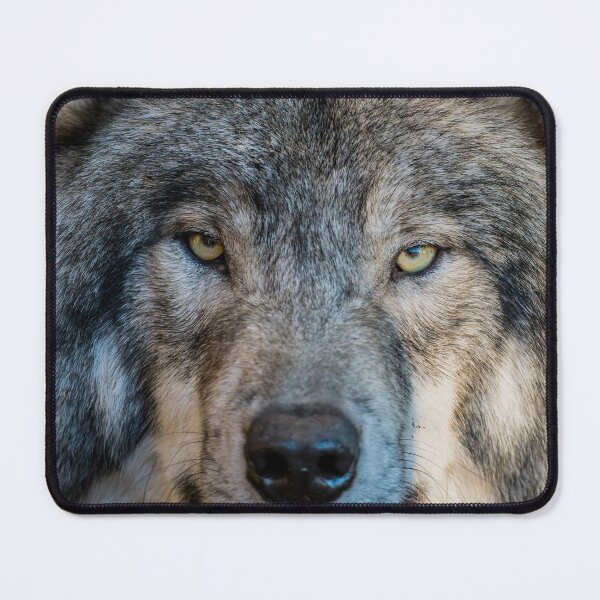 Item preview, Timber Wolf Portrait designed and sold by Michael Cummings.