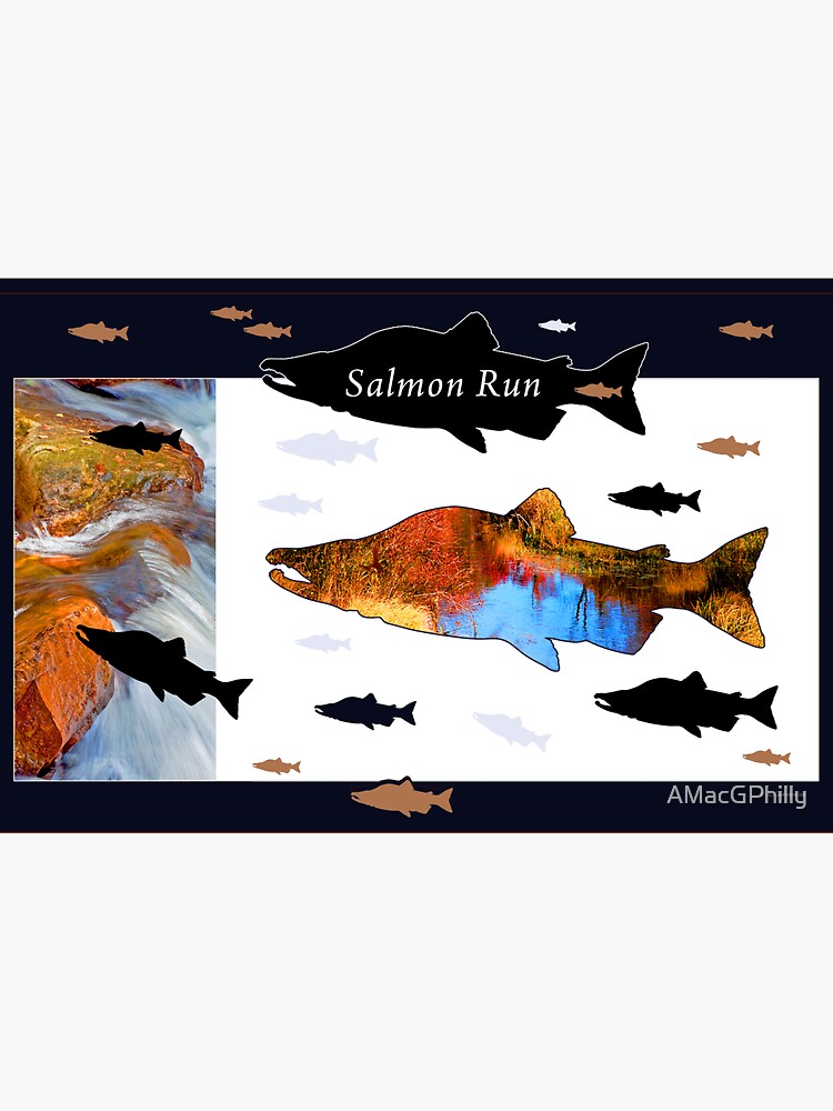 "Salmon Run, Digital Art" Sticker for Sale by AMacGPhilly Redbubble