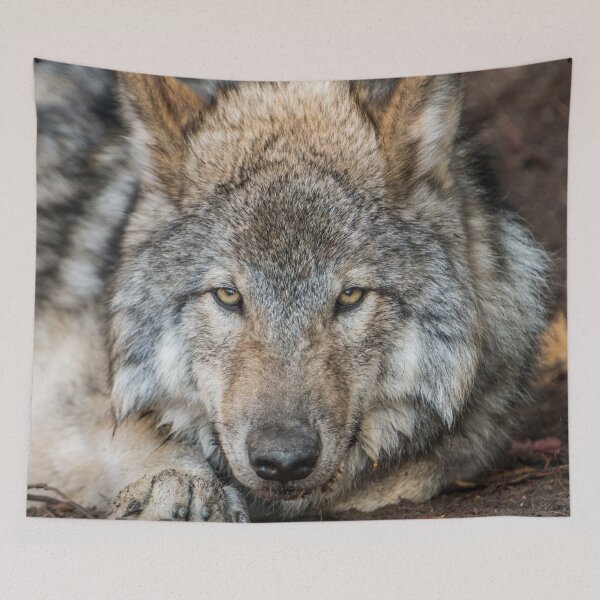 Item preview, Timber Wolf Pup designed and sold by Michael Cummings.