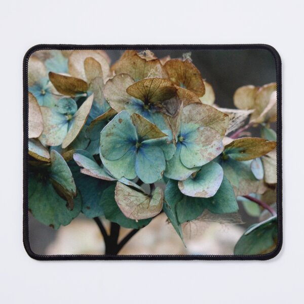 Item preview, Fading beauty.... designed and sold by cuprum.